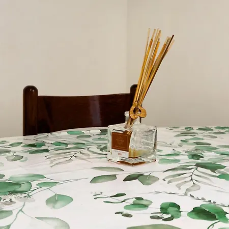Apartment Moki